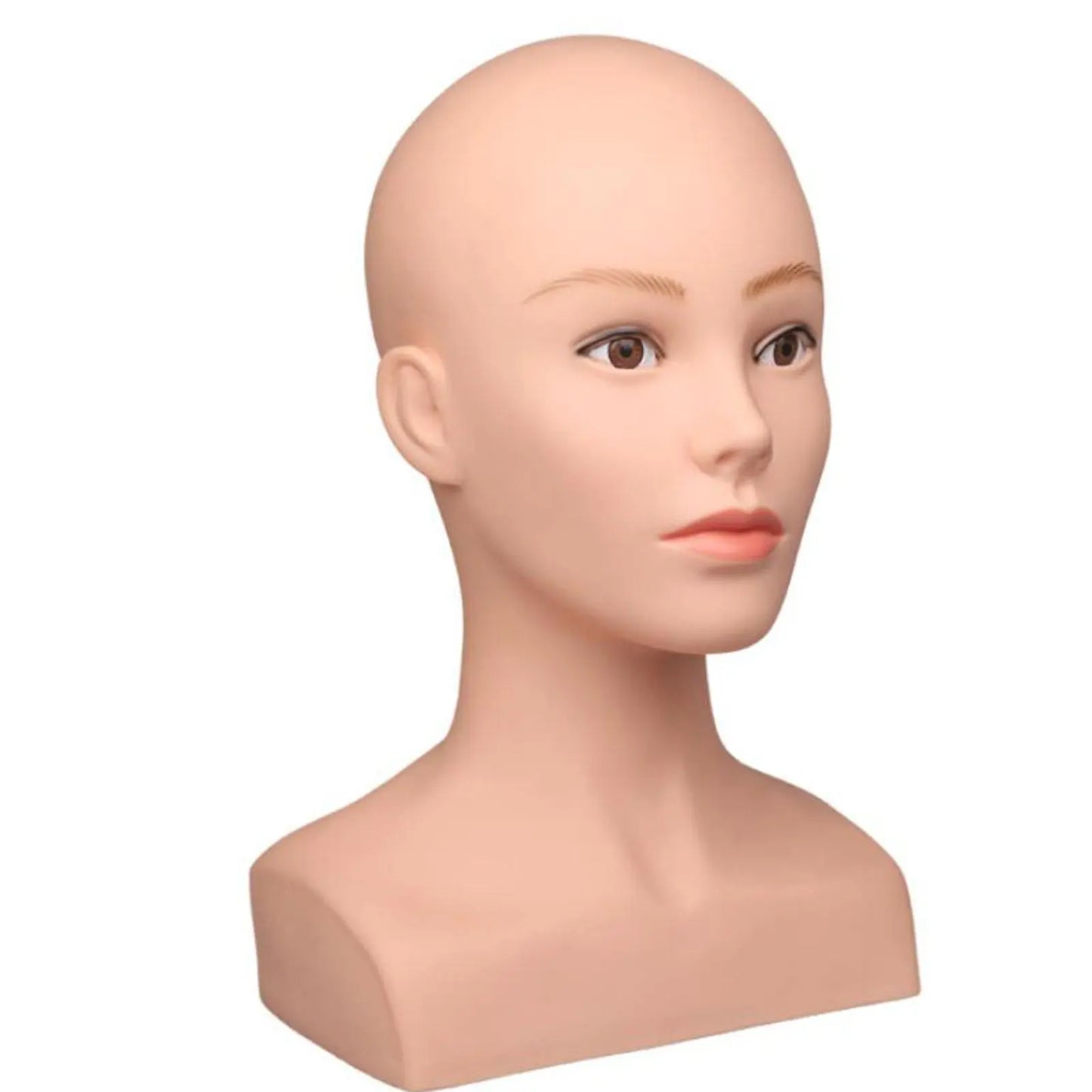 Model Head Display