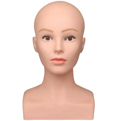 Model Head Display