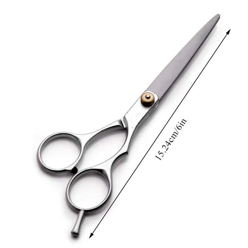 Stainless Steel Salon Scissors